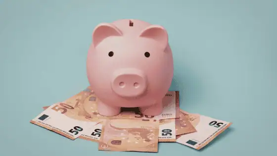 A pink piggy bank sat on top of some money notes.